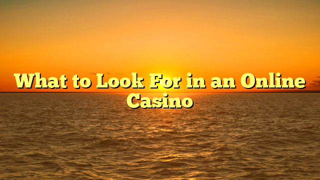 What to Look For in an Online Casino